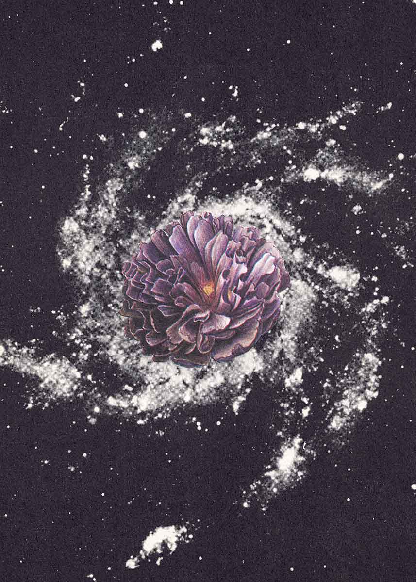 Purple Flower Spiral by Fred R Thustrup