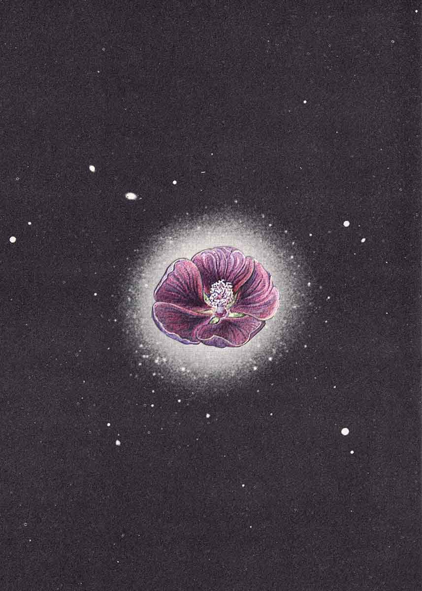 Purple Space Flower by Fred R Thustrup